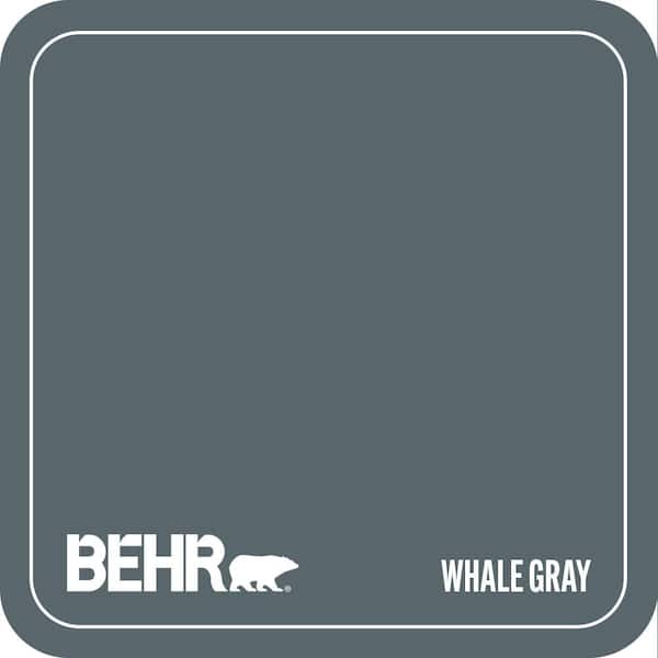 N470-6 Whale Gray Paint