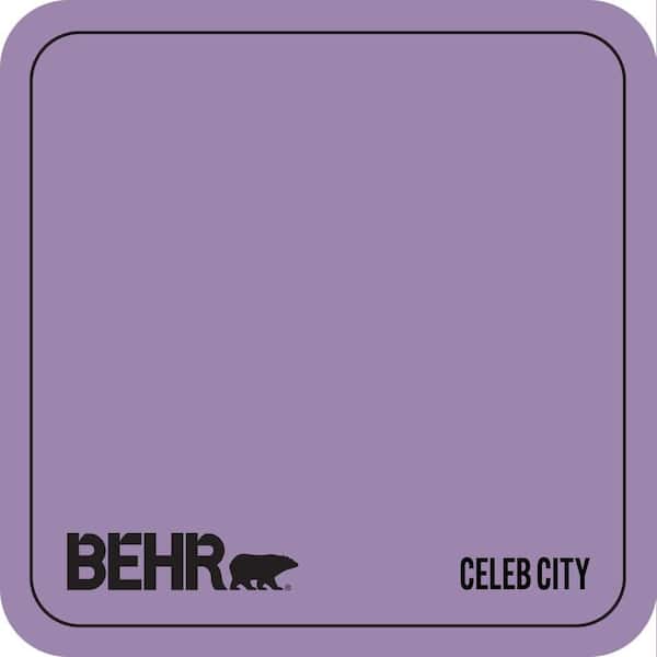 M570-5 Celeb City Paint