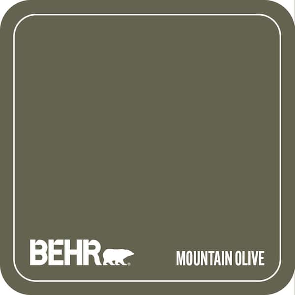 N350-7A Mountain Olive Paint
