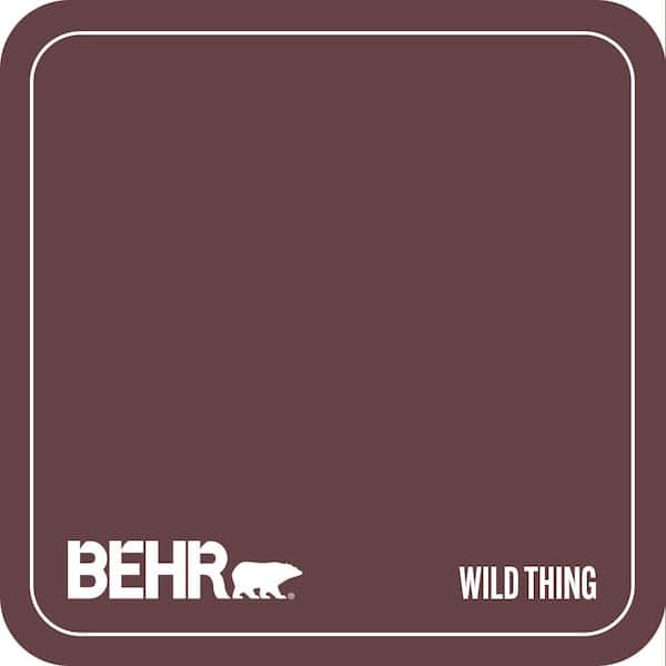 T11-10 Wild Thing Paint