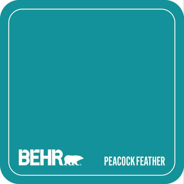 500B-6 Peacock Feather Paint