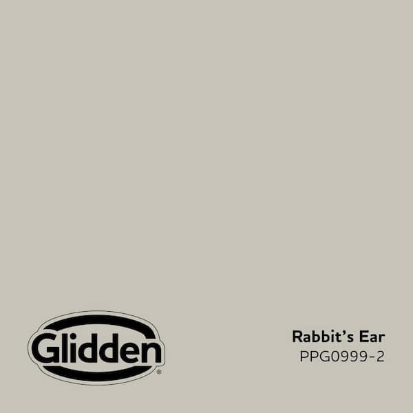 Rabbit's Ear PPG0999-2 Paint - Comparable to BENJAMIN MOORE'S London Fog