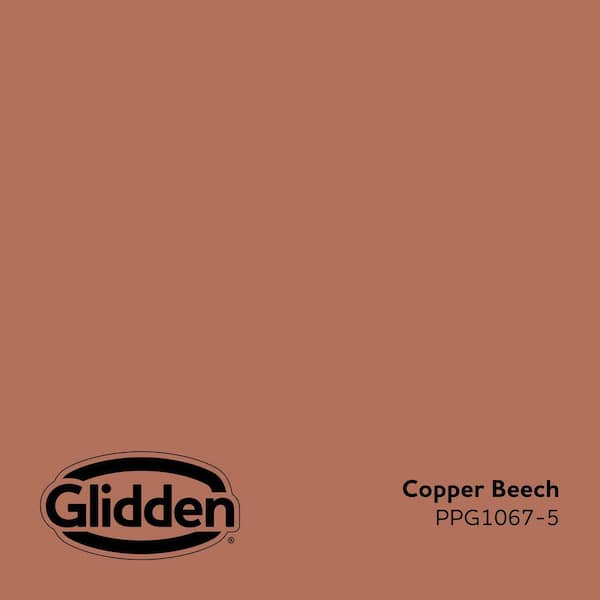 Copper Beech PPG1067-5 Paint