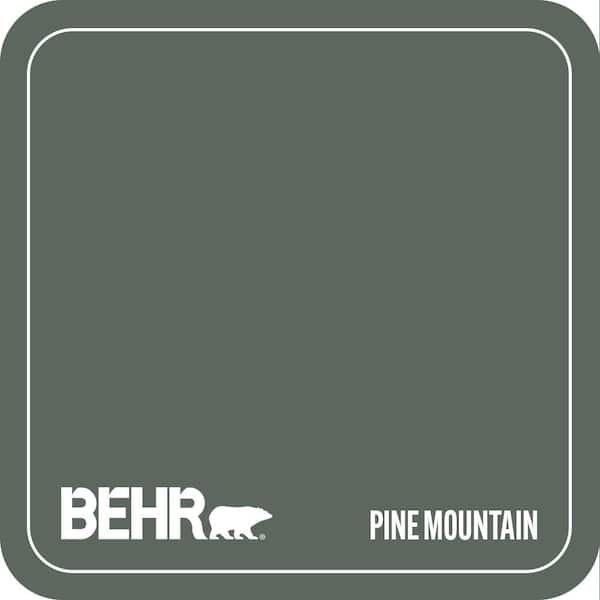 N420-6 Pine Mountain Paint