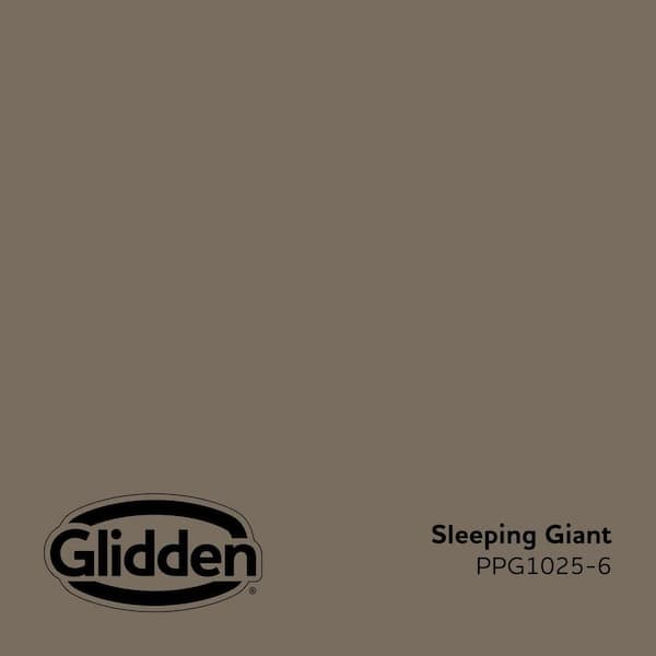 Sleeping Giant PPG1025-6 Paint