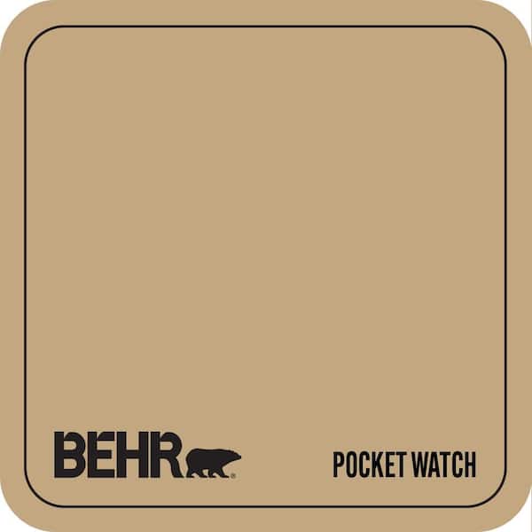 N290-5 Pocket Watch Paint