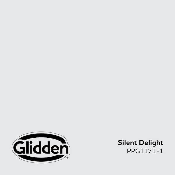 Silent Delight PPG1171-1 Paint
