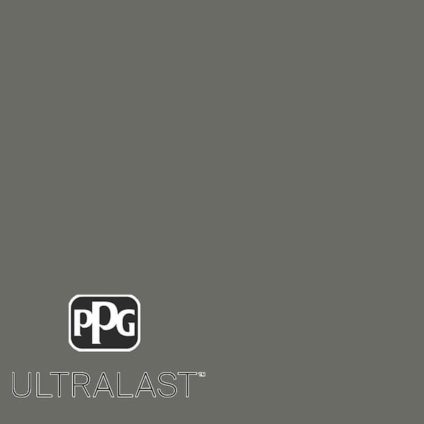 Armory PPG1009-6  Paint and Primer_UL