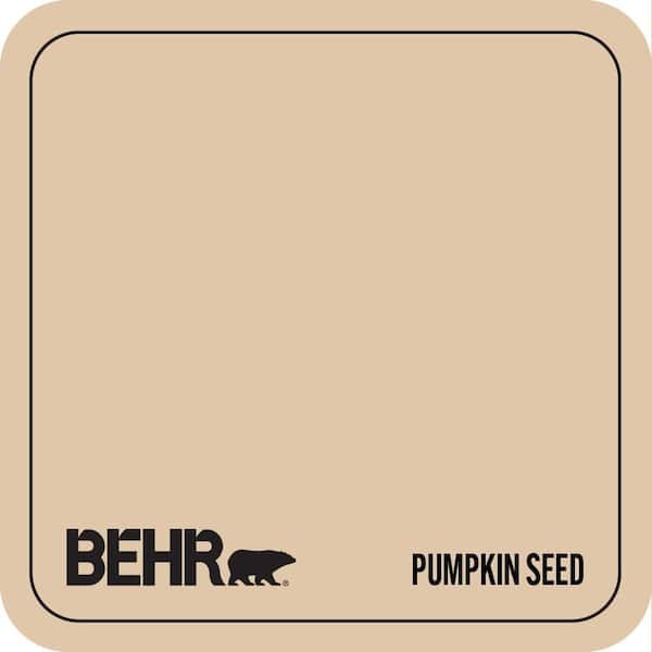 S260-2 Pumpkin Seed Paint