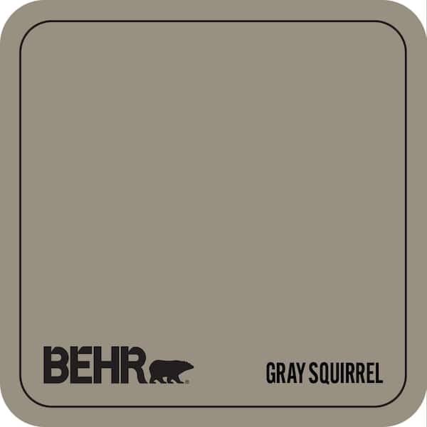 N320-5 Gray Squirrel Paint