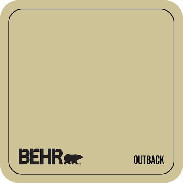 390F-4 Outback Paint