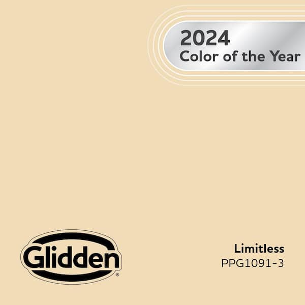 Limitless PPG1091-3 Paint
