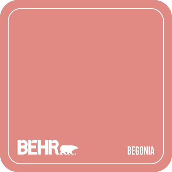 Home Decorators Collection HDC-SP16-12 Begonia Paint