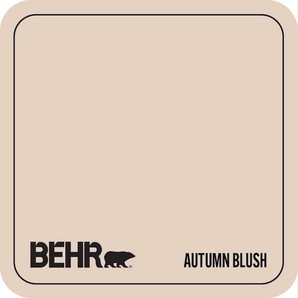 S220-1 Autumn Blush Paint