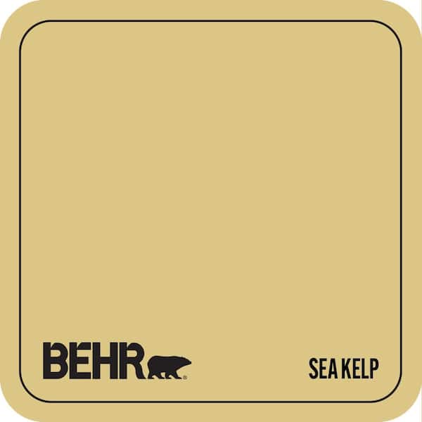 390D-5 Sea Kelp Paint