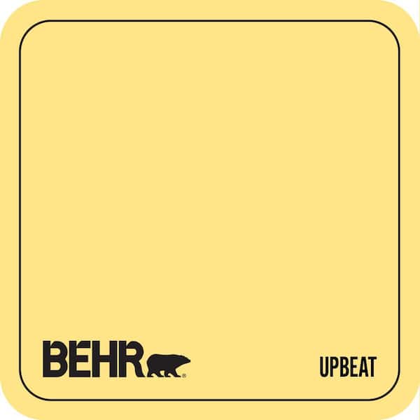 P300-5 Upbeat Paint
