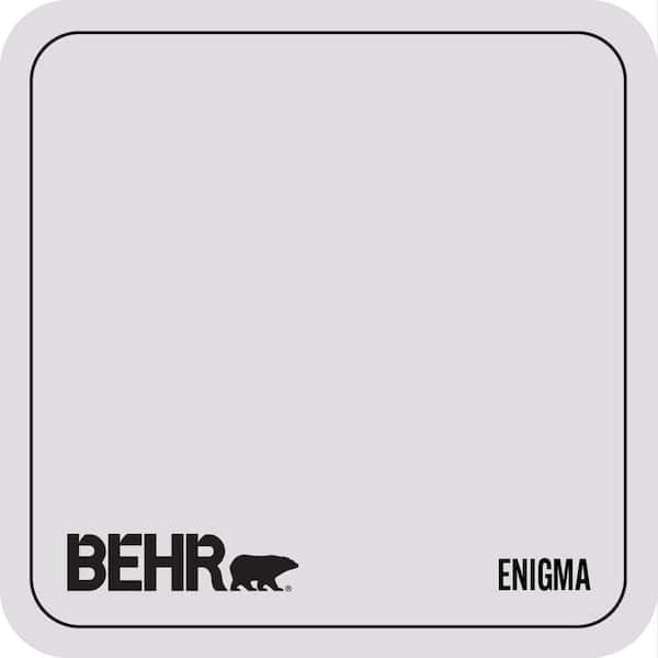 N100-1 Enigma Paint