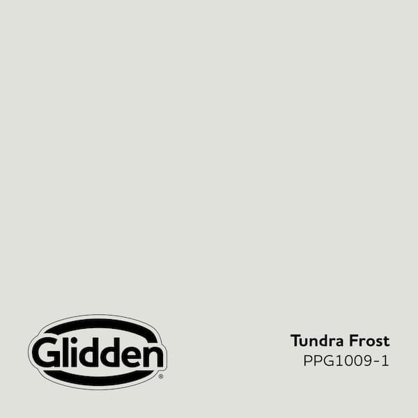 Tundra Frost PPG1009-1 Paint - Comparable to SHERWIN WILLIAMS' Fleur De Sel