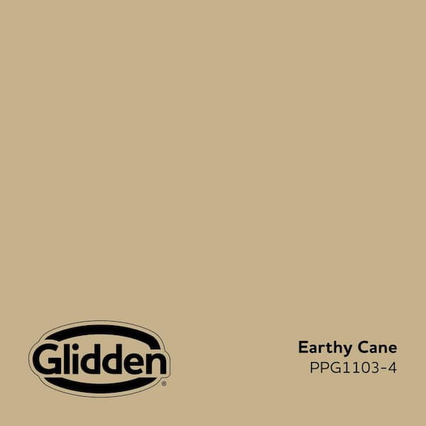Earthy Cane PPG1103-4 Paint