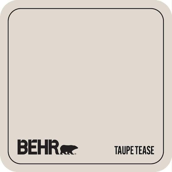 N210-1 Taupe Tease Paint