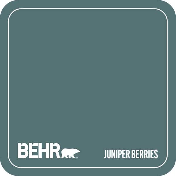 PPU13-02 Juniper Berries Paint