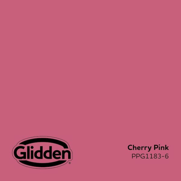 Cherry Pink PPG1183-6 Paint