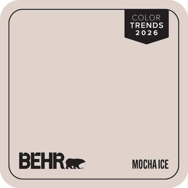 N150-1 Mocha Ice Paint