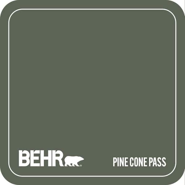 T13-16 Pine Cone Pass Paint