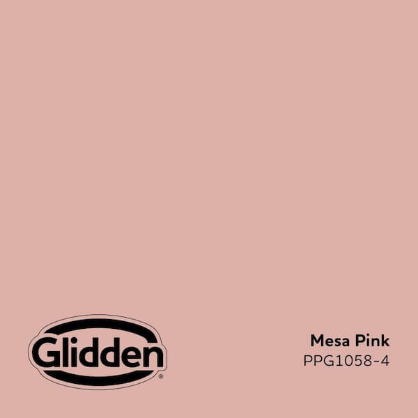 Mesa Pink PPG1058-4 Paint