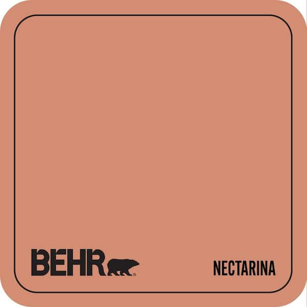220D-5 Nectarina Paint