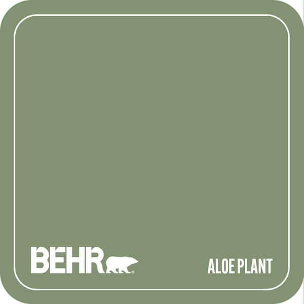 BIC-26 Aloe Plant Paint