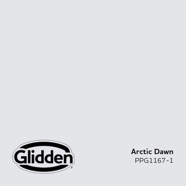 Arctic Dawn PPG1167-1 Paint