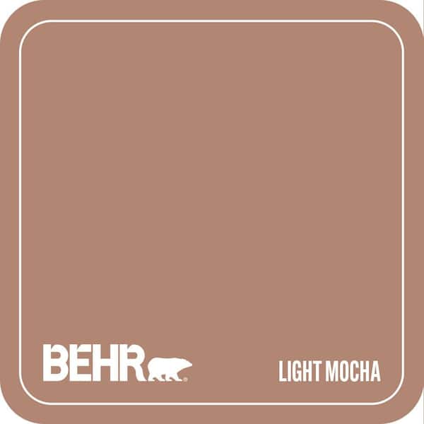 220F-5 Light Mocha Paint