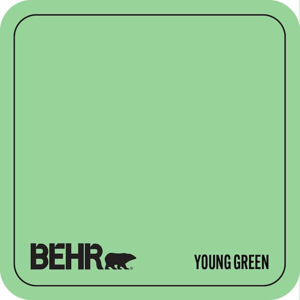 P390-4 Young Green Paint