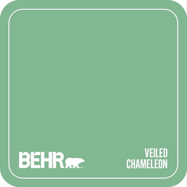 BIC-40 Veiled Chameleon Paint