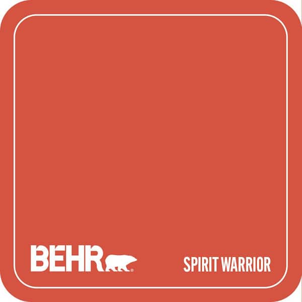 T18-12 Spirit Warrior Paint