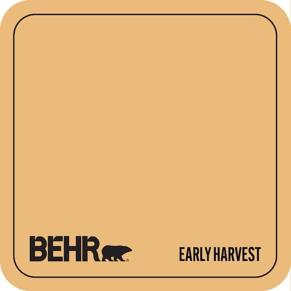 BXC-61 Early Harvest Paint