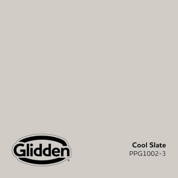 Cool Slate PPG1002-3 Paint