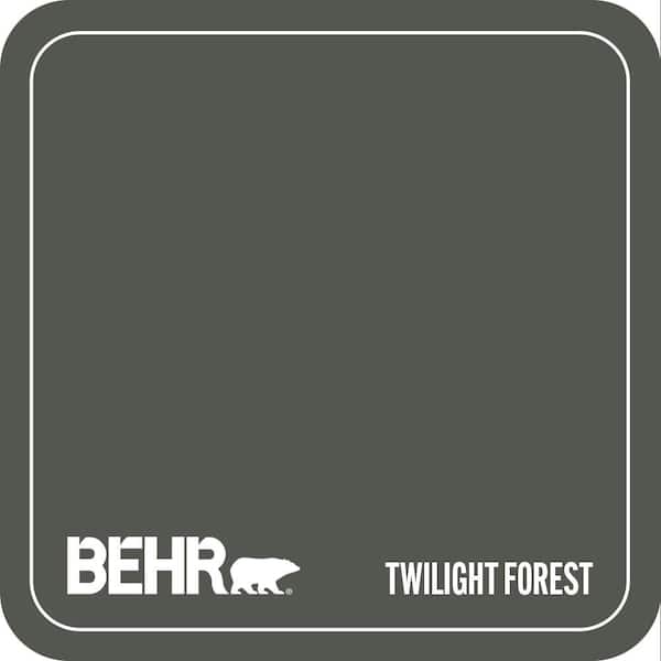 ECC-47-3 Twilight Forest Paint