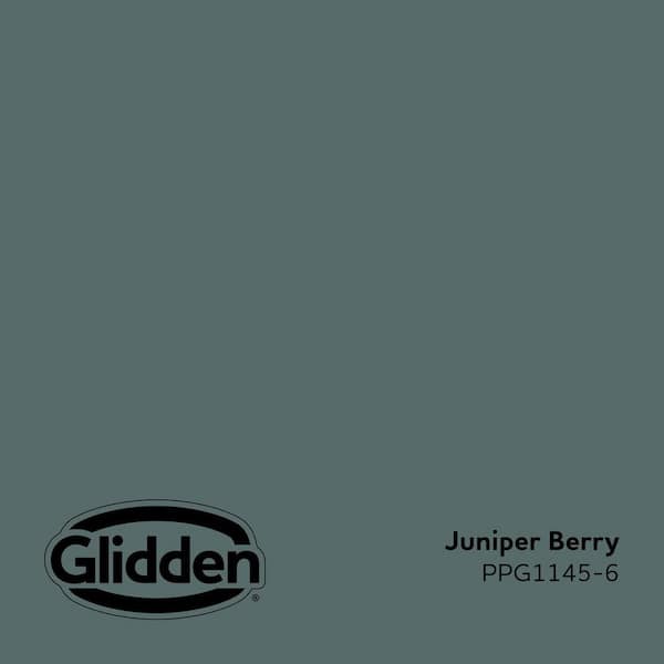 Juniper Berry PPG1145-6 Paint