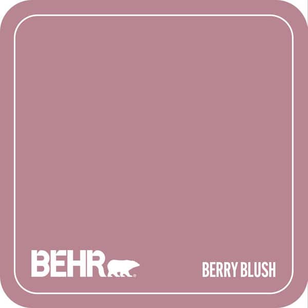 BIC-19 Berry Blush Paint