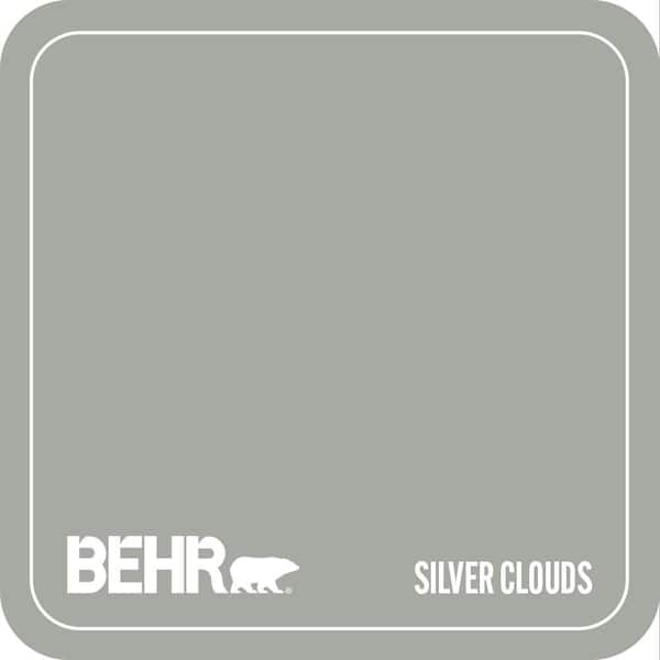 ECC-35-1 Silver Clouds Paint