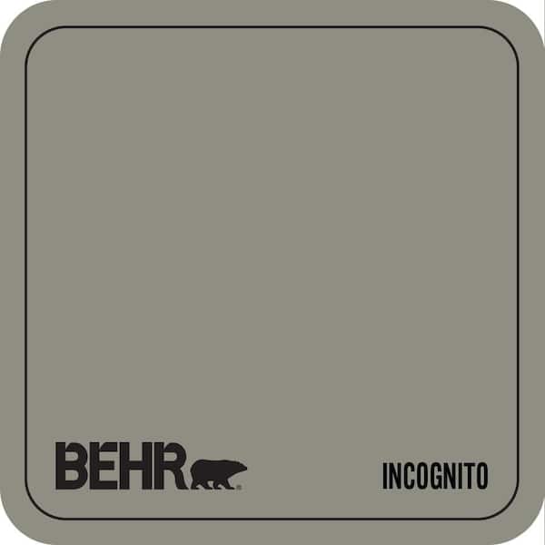 N370-5 Incognito Paint