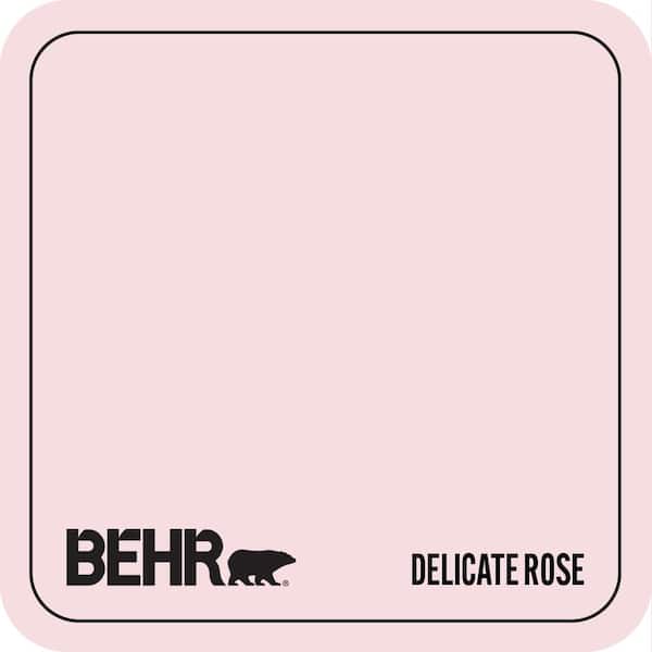 120A-2 Delicate Rose Paint