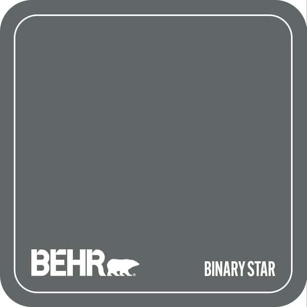 N450-6 Binary Star Paint