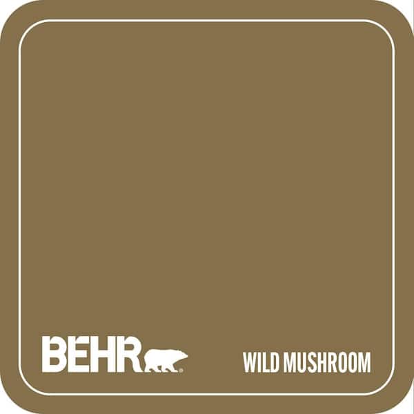 350F-7 Wild Mushroom Paint