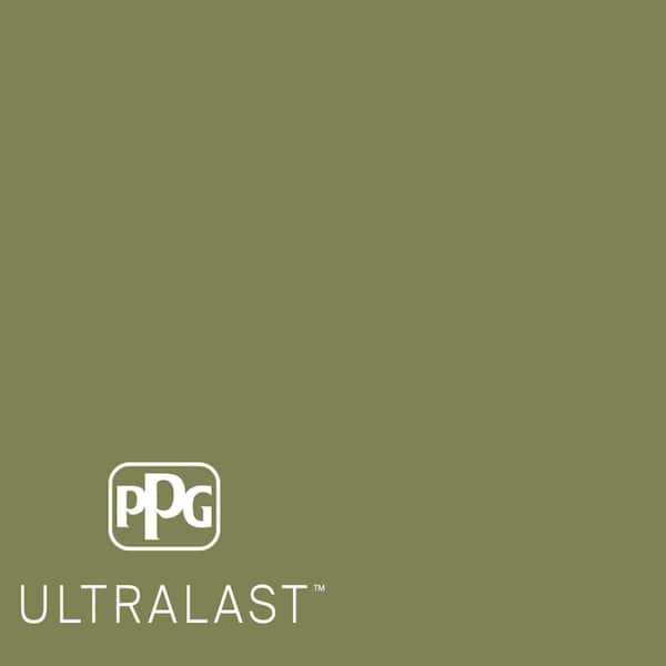 Oregano PPG1122-6  Paint and Primer_UL
