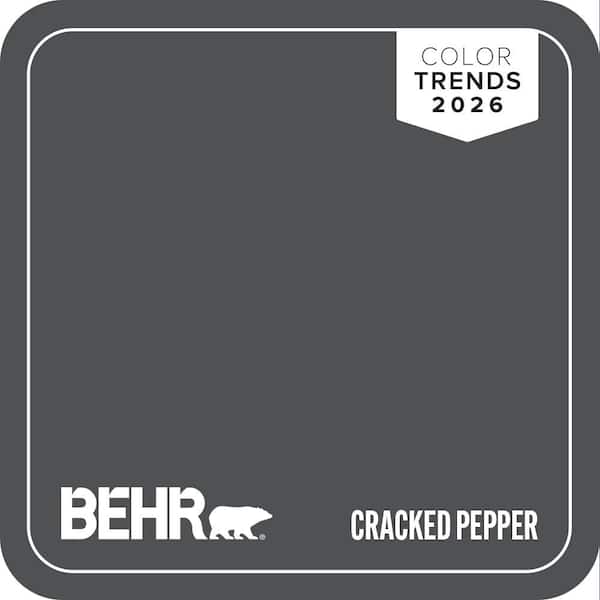 PPU18-01 Cracked Pepper Paint