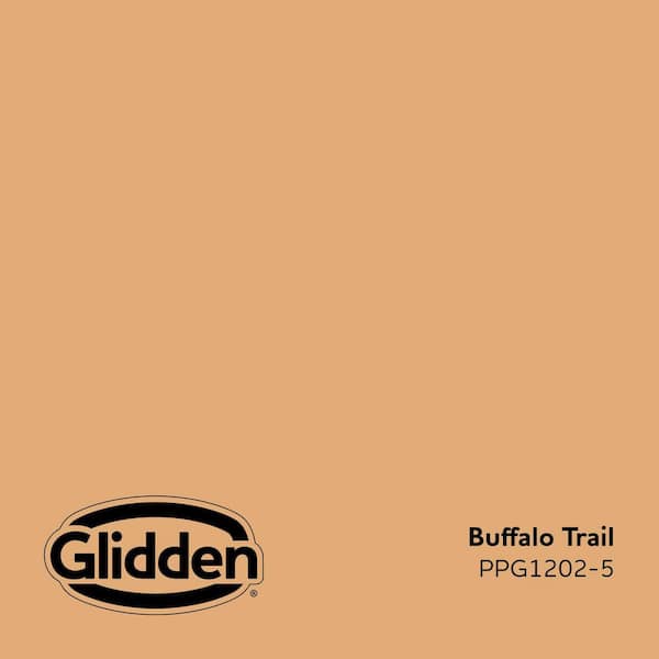 Buffalo Trail PPG1202-5 Paint