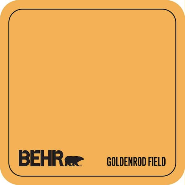 PMD-20 Goldenrod Field Paint